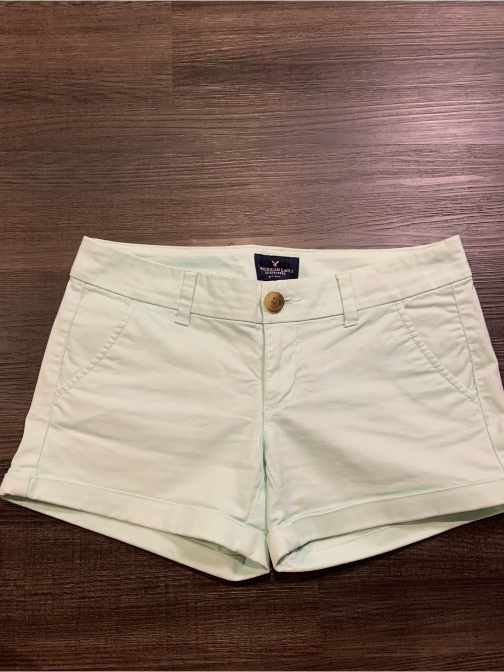 American Eagle Outfitters Pale Mint Jean Shorts